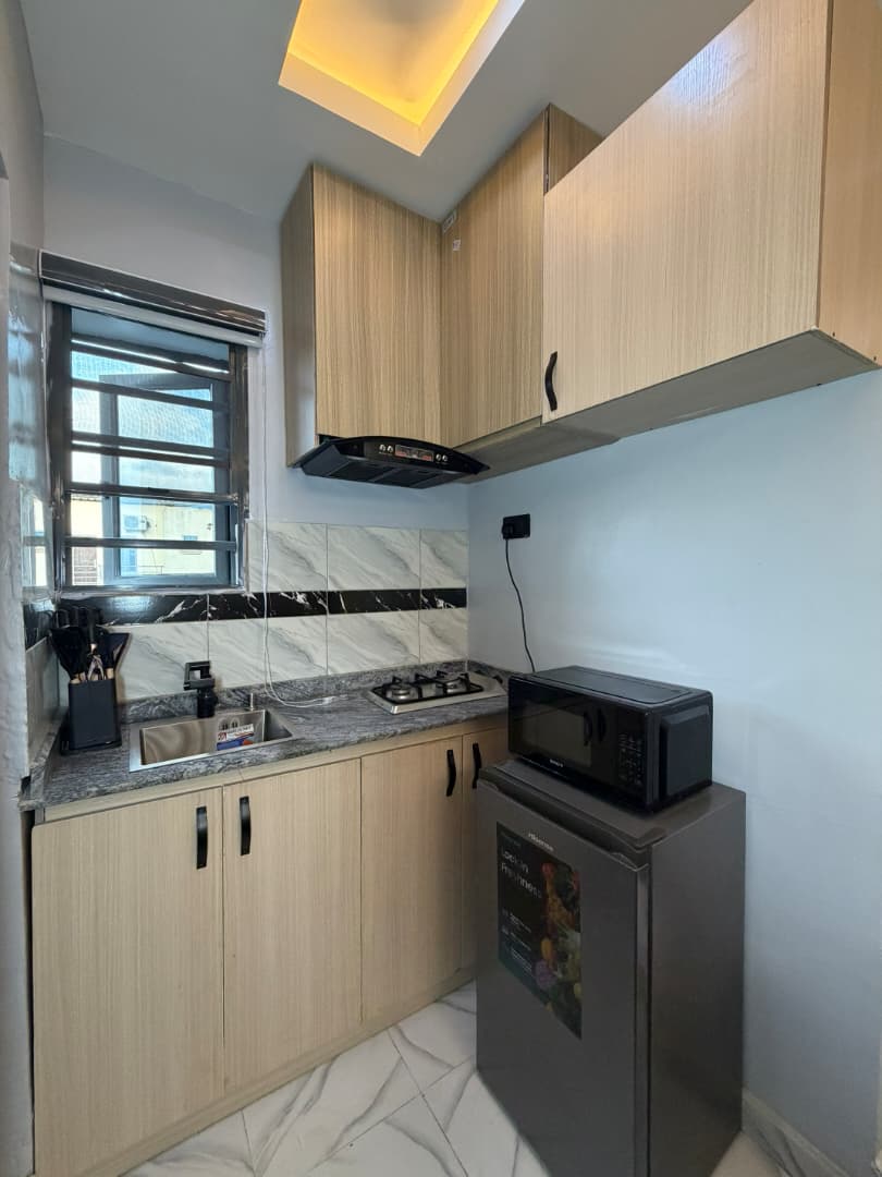 The Calisto · Apartment 305 · interior photograph 6