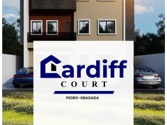 Cardiff Pedro Gbagada